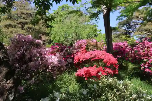 開成山大神宮の庭園