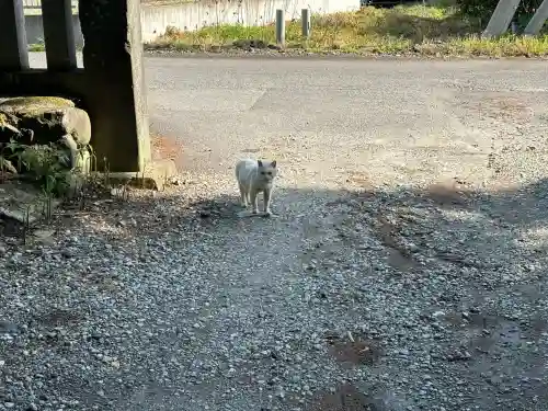 塩竈神社(栃木県)