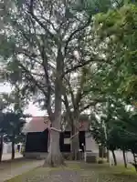 中の島神社(北海道)