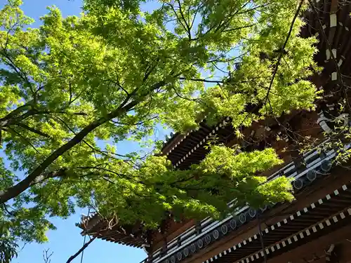 伝通院(東京都)