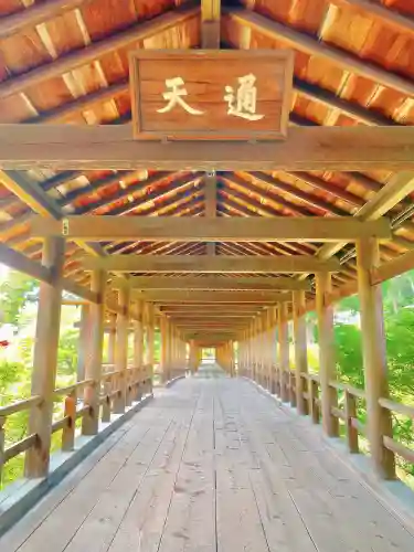 東福禅寺（東福寺）の{uncategorized: "未分類", other: "その他", undefined: "問題あり", building: "その他建物", grave: "お墓", sacred_gate: "鳥居", guardian: "狛犬", statue: "像", buddha: "仏像", history: "歴史", nature: "自然", garden: "庭園", animal: "動物", pagoda: "塔", temizu: "手水舎", mountain_gate: "山門・神門", sanctuary: "本殿・本堂", subordinate: "末社・摂社", art: "芸術", scenery: "景色", jizo: "地蔵", ema: "絵馬", goshuin: "御朱印", omikuji: "おみくじ", items: "授与品その他", amulet: "お守り", goshuincho: "御朱印帳", eats: "食事", festival: "お祭り", votive_dance: "神楽", shichigosan: "七五三参", wedding: "結婚式", experience: "体験その他", initially: "初詣", around: "周辺", anti_infection: "感染症対策"}