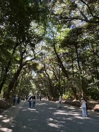 明治神宮(東京都)