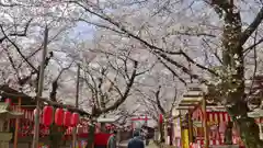 平野神社の建物その他