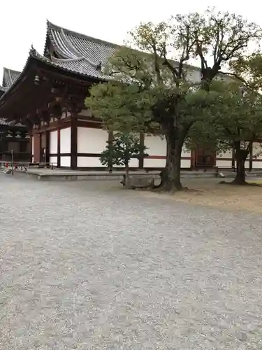 東寺（教王護国寺）(京都府)