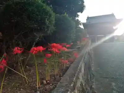 全忠寺のその他建物