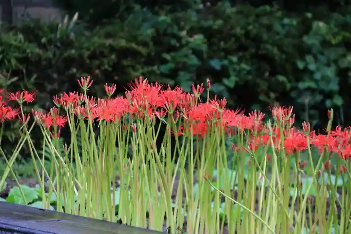 熊野福藏神社の庭園