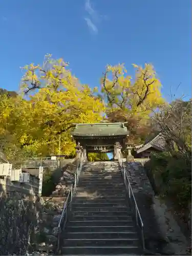綾部八幡神社(佐賀県)