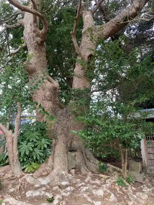 稲荷神社(千葉県)