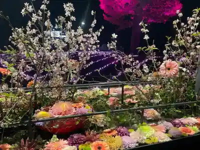 武蔵野坐令和神社の{uncategorized: "未分類", other: "その他", undefined: "問題あり", building: "その他建物", grave: "お墓", sacred_gate: "鳥居", guardian: "狛犬", statue: "像", buddha: "仏像", history: "歴史", nature: "自然", garden: "庭園", animal: "動物", pagoda: "塔", temizu: "手水舎", mountain_gate: "山門・神門", sanctuary: "本殿・本堂", subordinate: "末社・摂社", art: "芸術", scenery: "景色", jizo: "地蔵", ema: "絵馬", goshuin: "御朱印", omikuji: "おみくじ", items: "授与品その他", amulet: "お守り", goshuincho: "御朱印帳", eats: "食事", festival: "お祭り", votive_dance: "神楽", shichigosan: "七五三参", wedding: "結婚式", experience: "体験その他", initially: "初詣", around: "周辺", anti_infection: "感染症対策"}