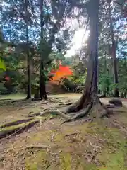 弘川寺(大阪府)