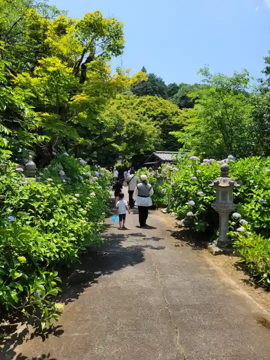 観音寺(京都府)