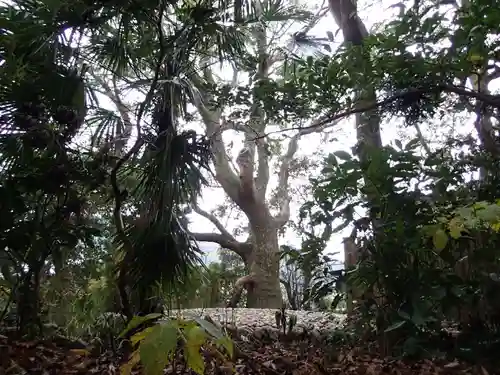 葭原神社（皇大神宮末社）の自然