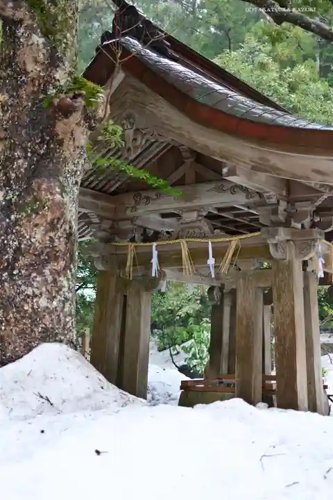 彌彦神社の手水舎