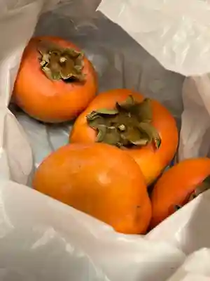 長仙寺(東京都)