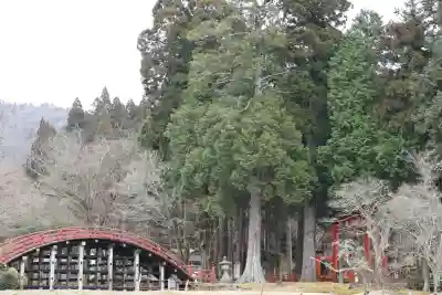 丹生都比売神社(和歌山県)