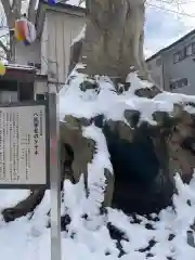 八坂神社(岩手県)