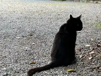 梅宮大社(京都府)