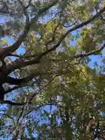 葛飾八幡宮(千葉県)