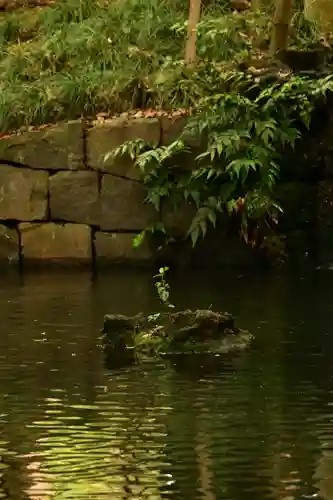 武蔵一宮氷川神社(埼玉県)