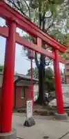 富岡八幡宮(東京都)
