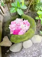 菅生神社の手水舎