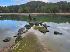 毛越寺(岩手県)