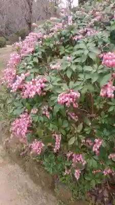 大神神社(奈良県)