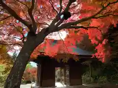 普門寺(切り絵御朱印発祥の寺)の山門