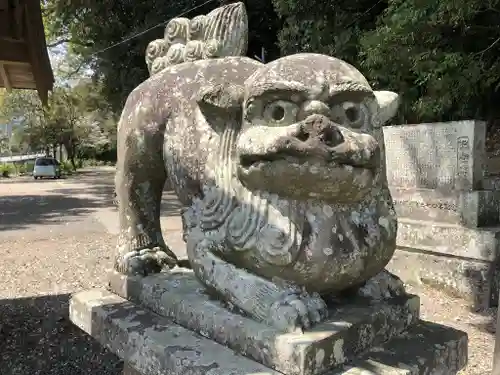 今泉神社の狛犬