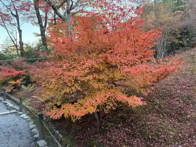 天龍寺(京都府)
