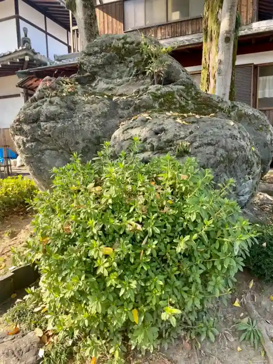 単伝庵のその他建物