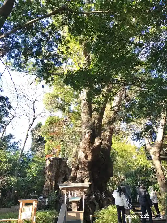來宮神社(静岡県)