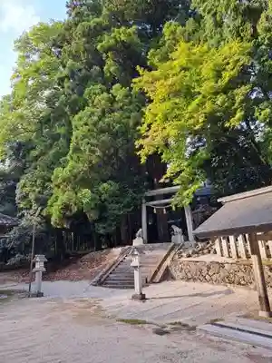 比沼麻奈為神社(京都府)