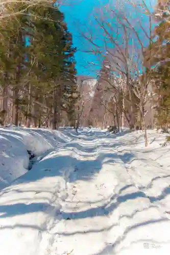戸隠神社奥社(長野県)