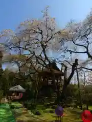 光丸山 法輪寺の建物その他