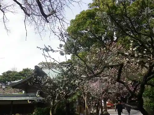 荏柄天神社のその他建物
