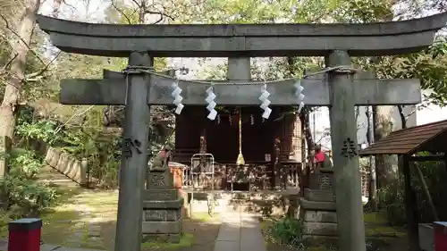 赤坂氷川神社の鳥居