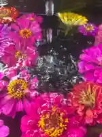 大鏑神社(福島県)