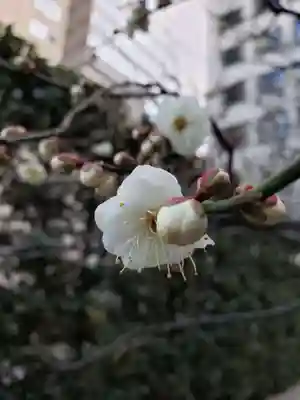 銀世界稲荷神社(東京都)
