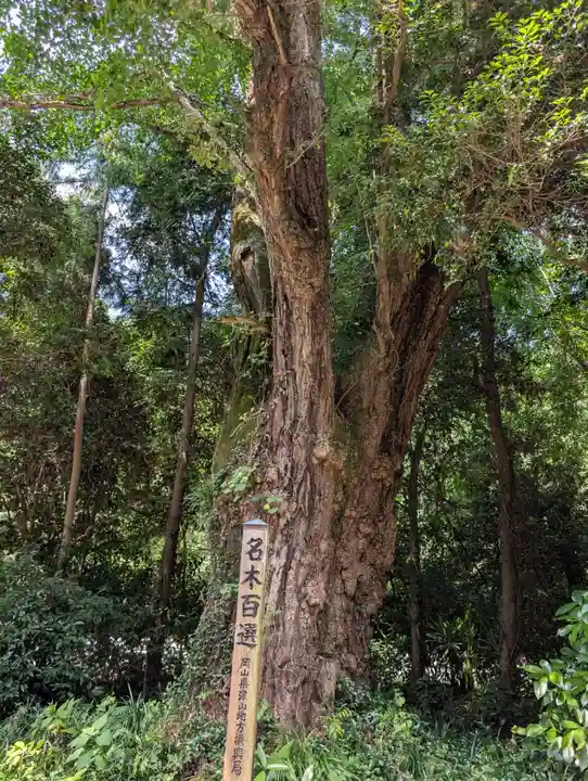 中山神社(岡山県)