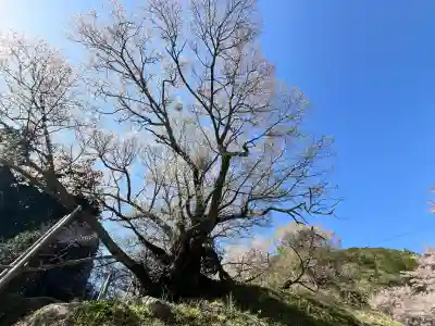 仏隆寺の{uncategorized: "未分類", other: "その他", undefined: "問題あり", building: "その他建物", grave: "お墓", sacred_gate: "鳥居", guardian: "狛犬", statue: "像", buddha: "仏像", history: "歴史", nature: "自然", garden: "庭園", animal: "動物", pagoda: "塔", temizu: "手水舎", mountain_gate: "山門・神門", sanctuary: "本殿・本堂", subordinate: "末社・摂社", art: "芸術", scenery: "景色", jizo: "地蔵", ema: "絵馬", goshuin: "御朱印", omikuji: "おみくじ", items: "授与品その他", amulet: "お守り", goshuincho: "御朱印帳", eats: "食事", festival: "お祭り", votive_dance: "神楽", shichigosan: "七五三参", wedding: "結婚式", experience: "体験その他", initially: "初詣", around: "周辺", anti_infection: "感染症対策"}