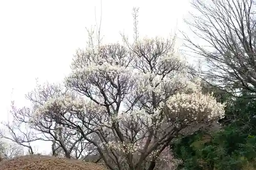多治速比売神社の自然