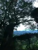 阿上三所神社(京都府)