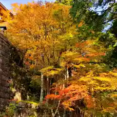 秋葉山本宮 秋葉神社 上社の庭園