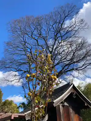 善福寺(兵庫県)