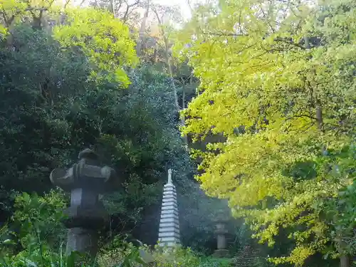 安國論寺（安国論寺）の景色