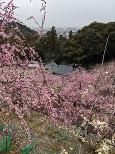 大縣神社の庭園