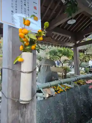 賀茂別雷神社（上賀茂神社）(京都府)