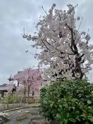 實相寺（実相寺） (京都府)