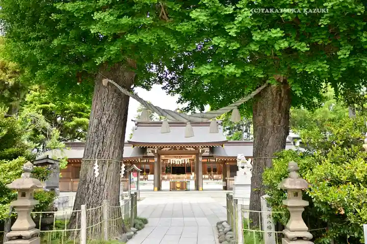 亀ケ池八幡宮(神奈川県)